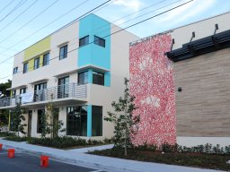 Focus Murals